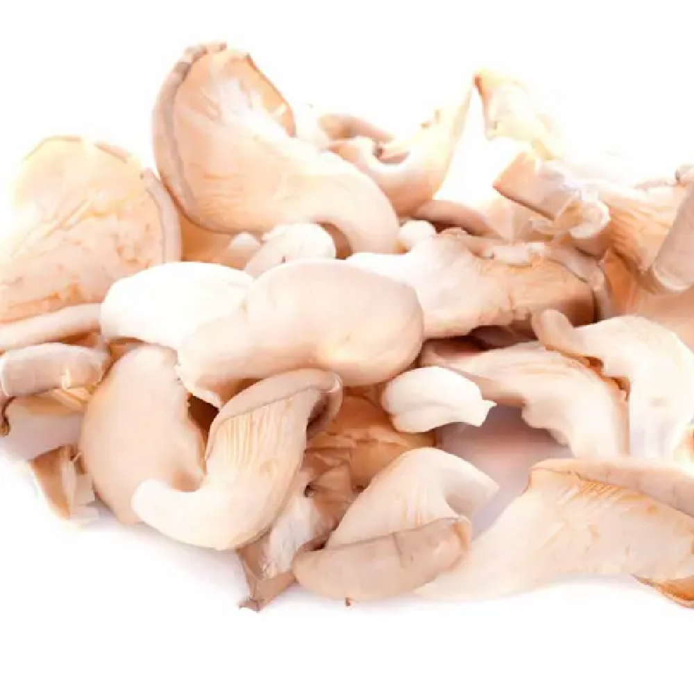 Ciuperci-Pleurotus–caserola-500g