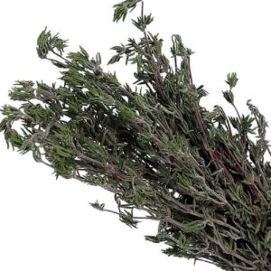 cimbrisor-import-30g-1buc