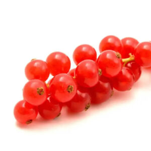 coacaze-rosii-caserola-125g