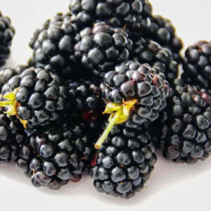 mure-caserola-import-125g