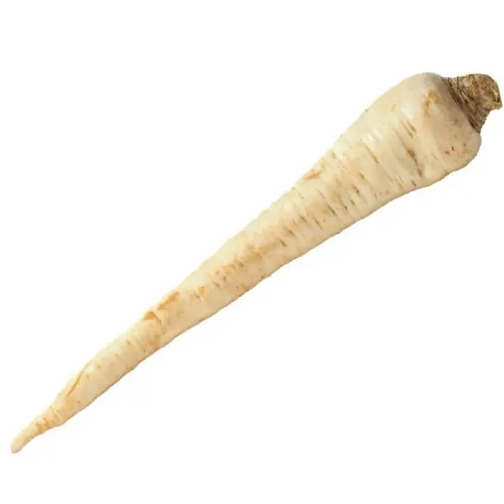 patrunjel-radacina-import-1buc