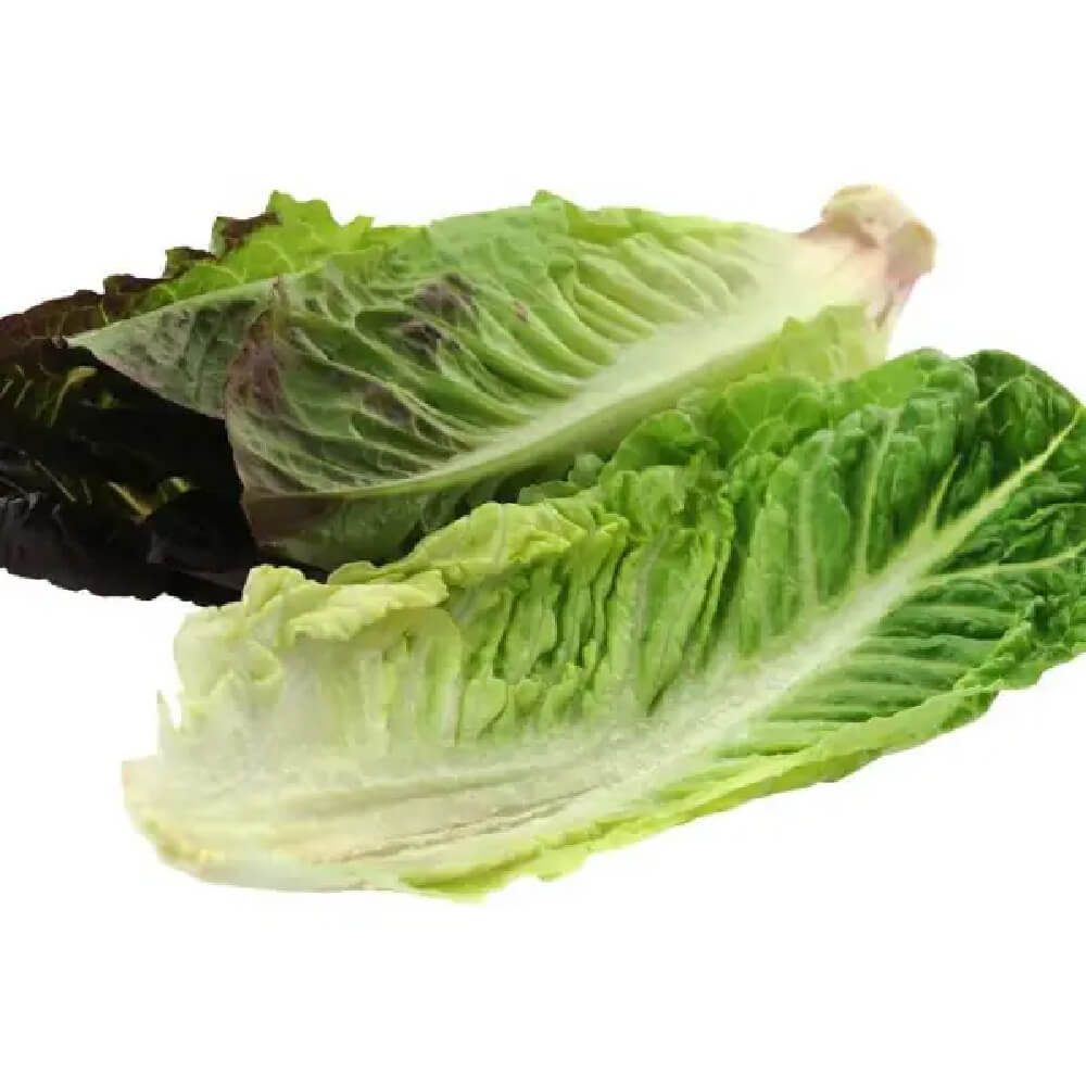 salata-iceberg-romania-1buc